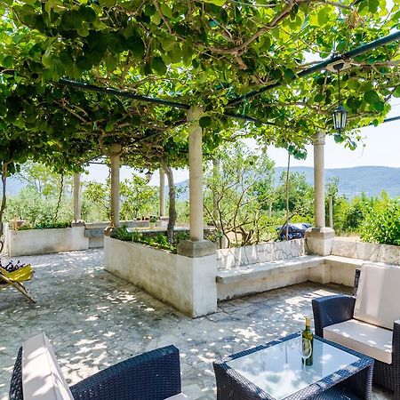Holiday Home Field Of Olives Gruda Exterior foto