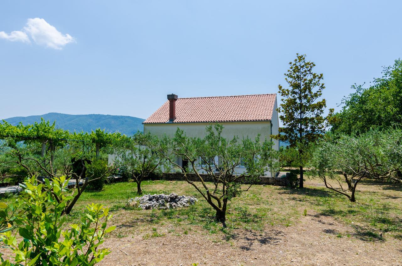 Holiday Home Field Of Olives Gruda Exterior foto